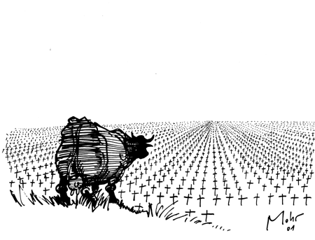 Ein weites Feld