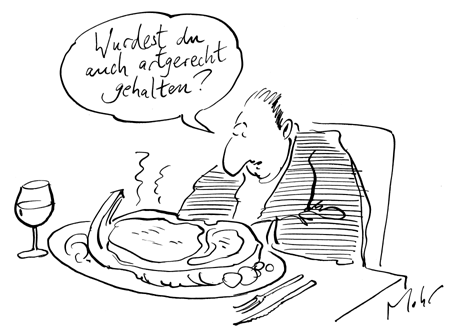 Ein Herz für Rinder