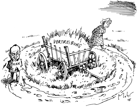 Das Gras über der Geschichte