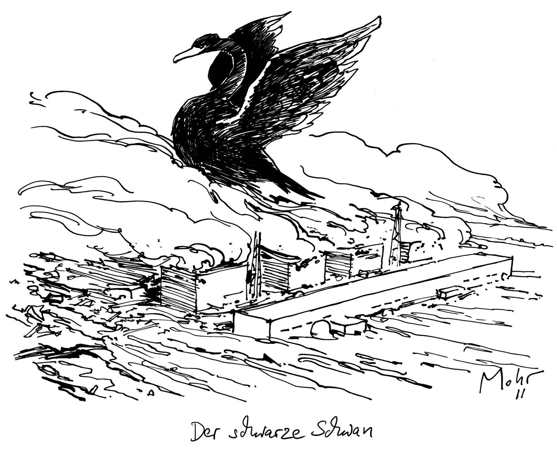 Der schwarze Schwan