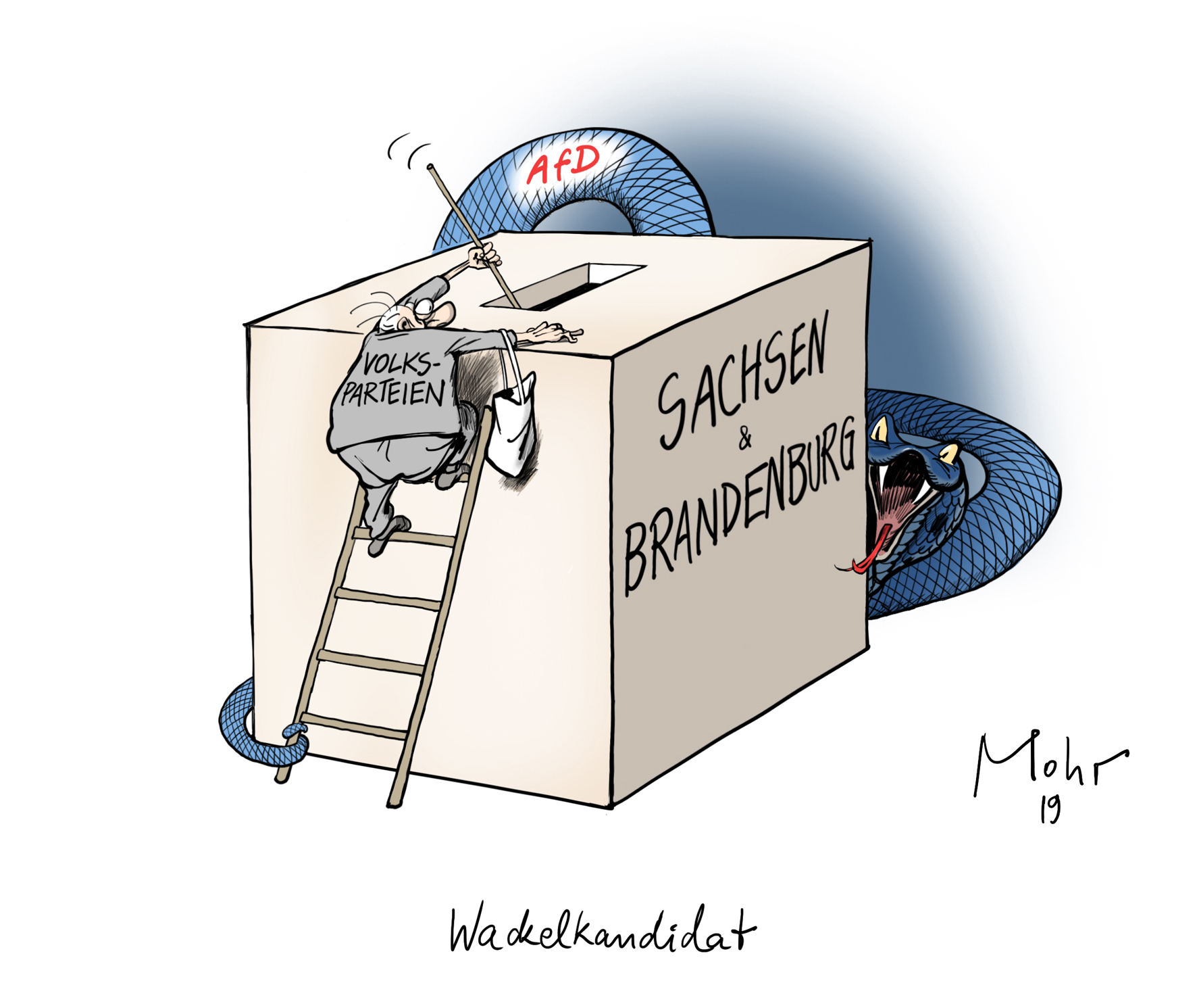 Wackelkandidat