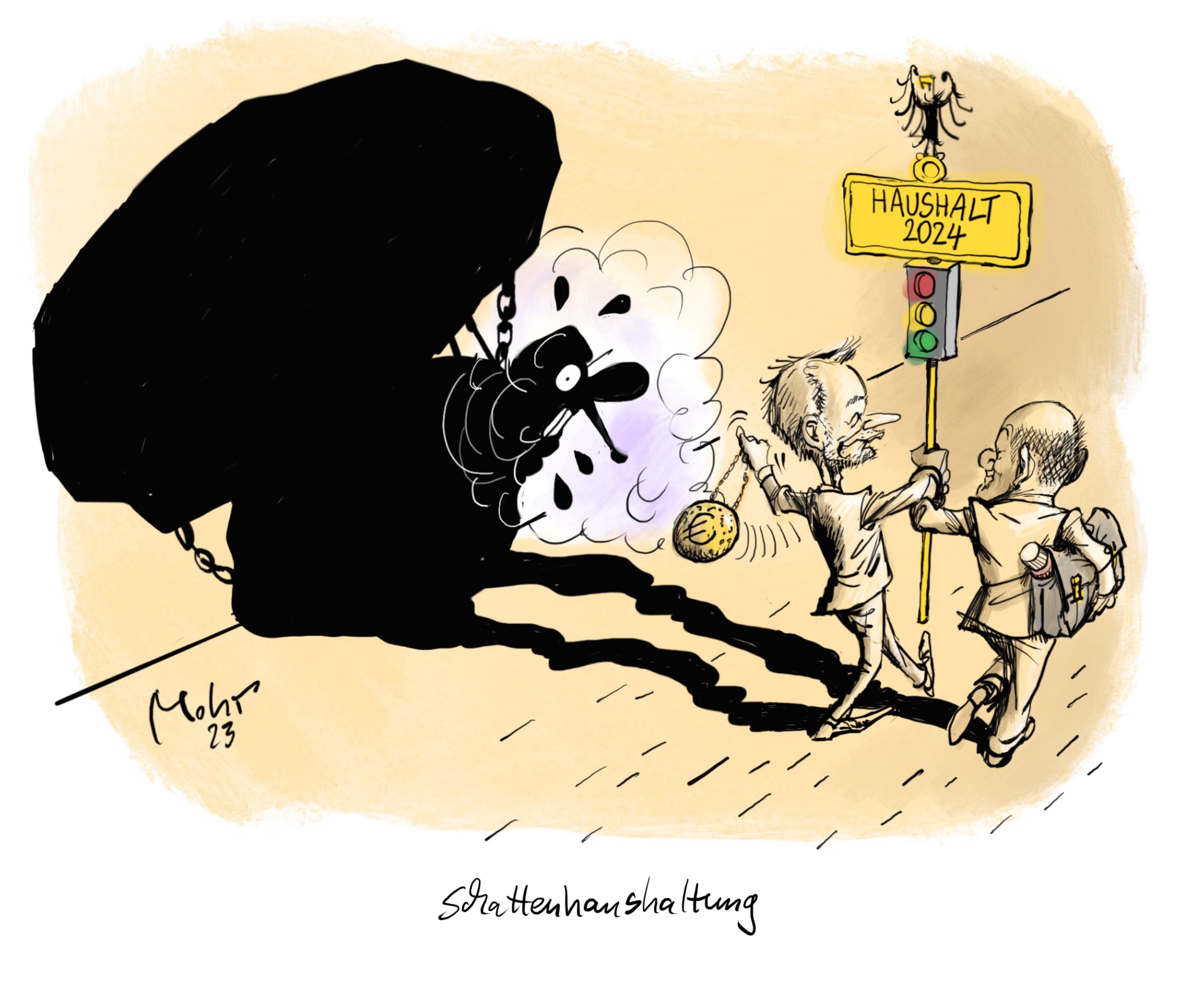 Schattenhaushaltung